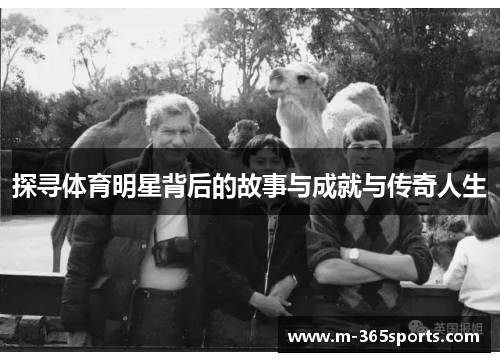 探寻体育明星背后的故事与成就与传奇人生